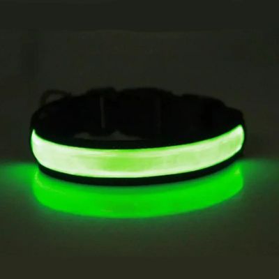 collier lumineux chien couleur vert