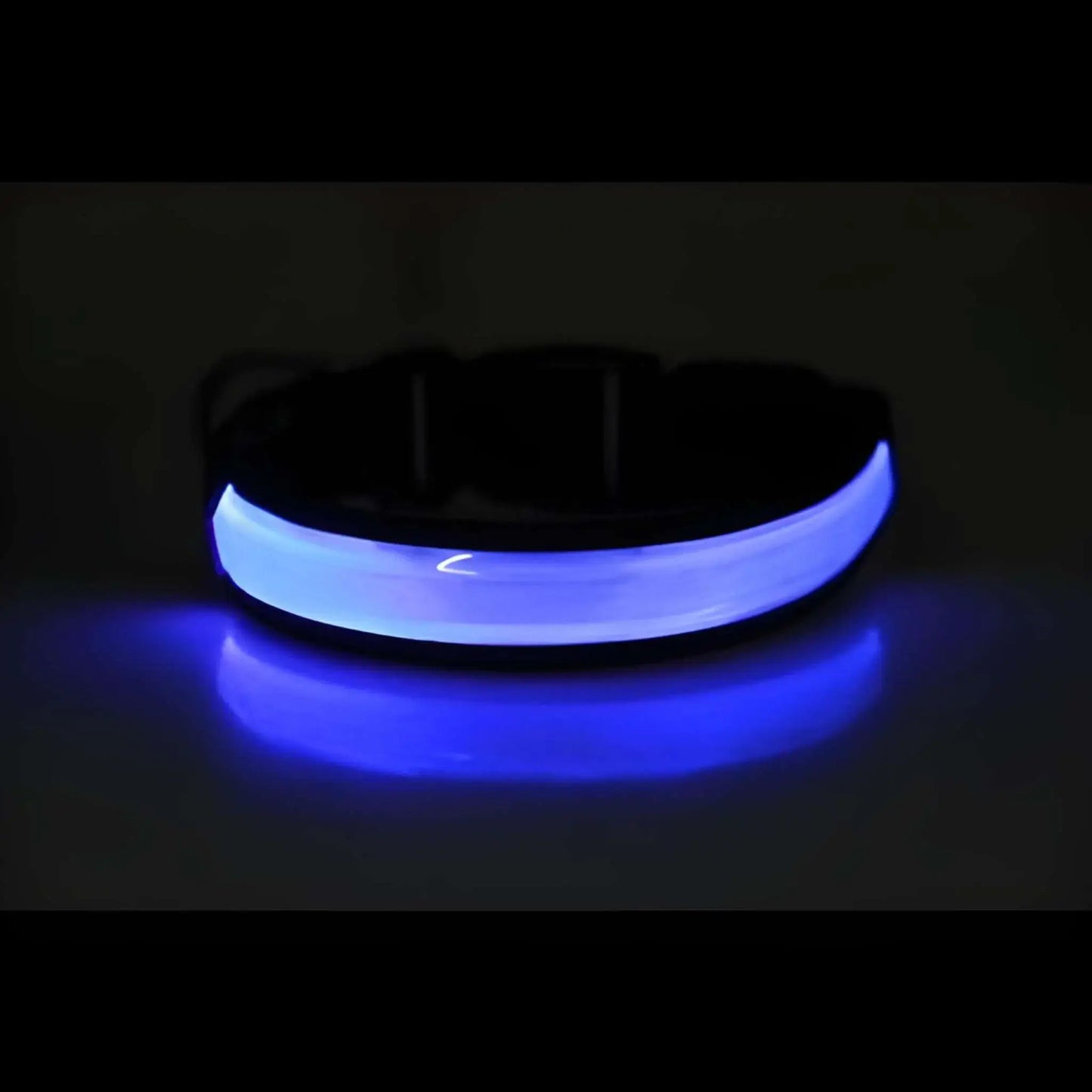Un collier lumineux pour chien FlAsh de couleur bleue.