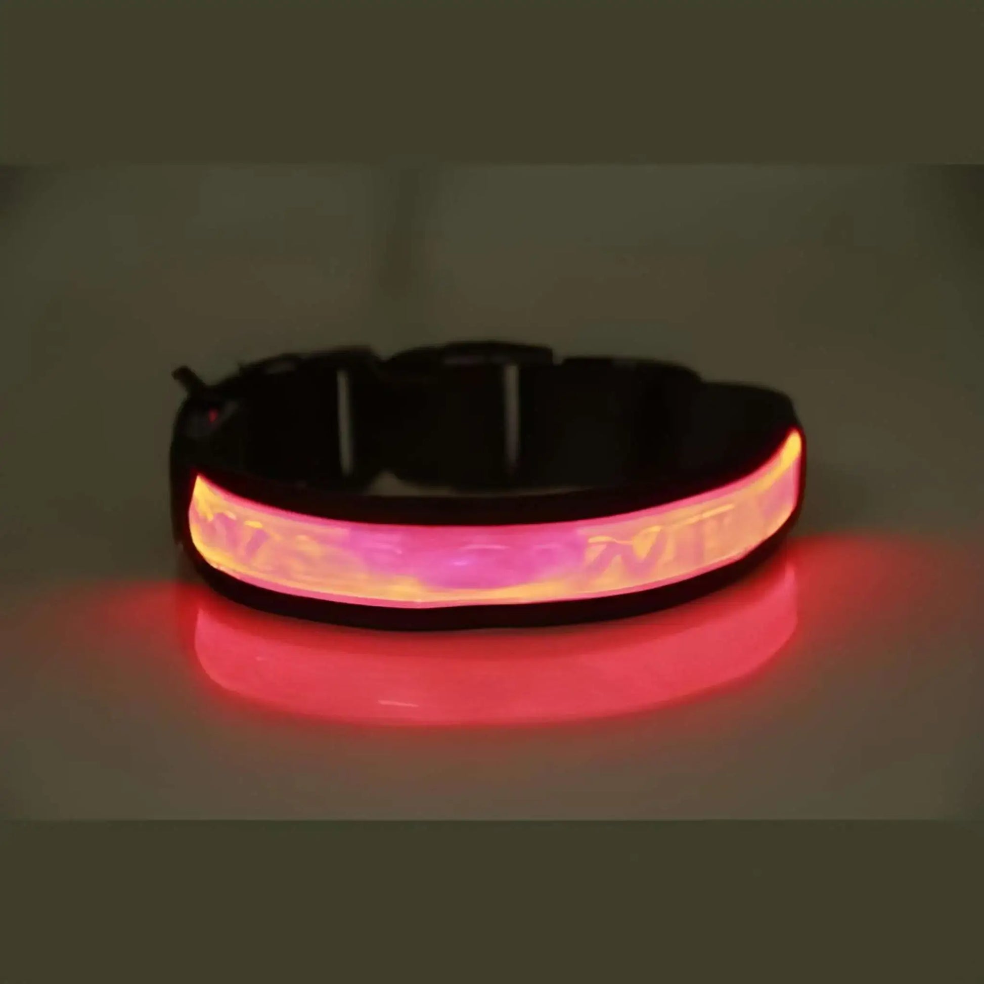 Un collier lumineux pour chien FlAsh de couleur rouge.