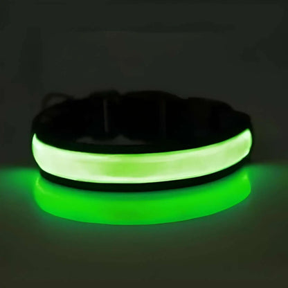 Un collier lumineux pour chien FlAsh de couleur verte.