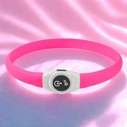 Un collier lumineux chien rose. 