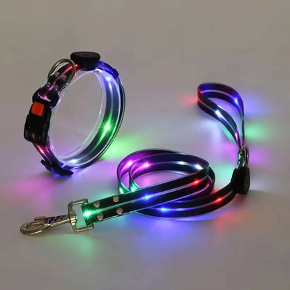 Une laisse et un collier lumineux pour chien multicolores.