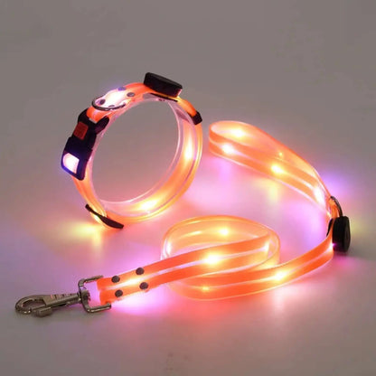 Une laisse et un collier lumineux pour chien de couleur orange.