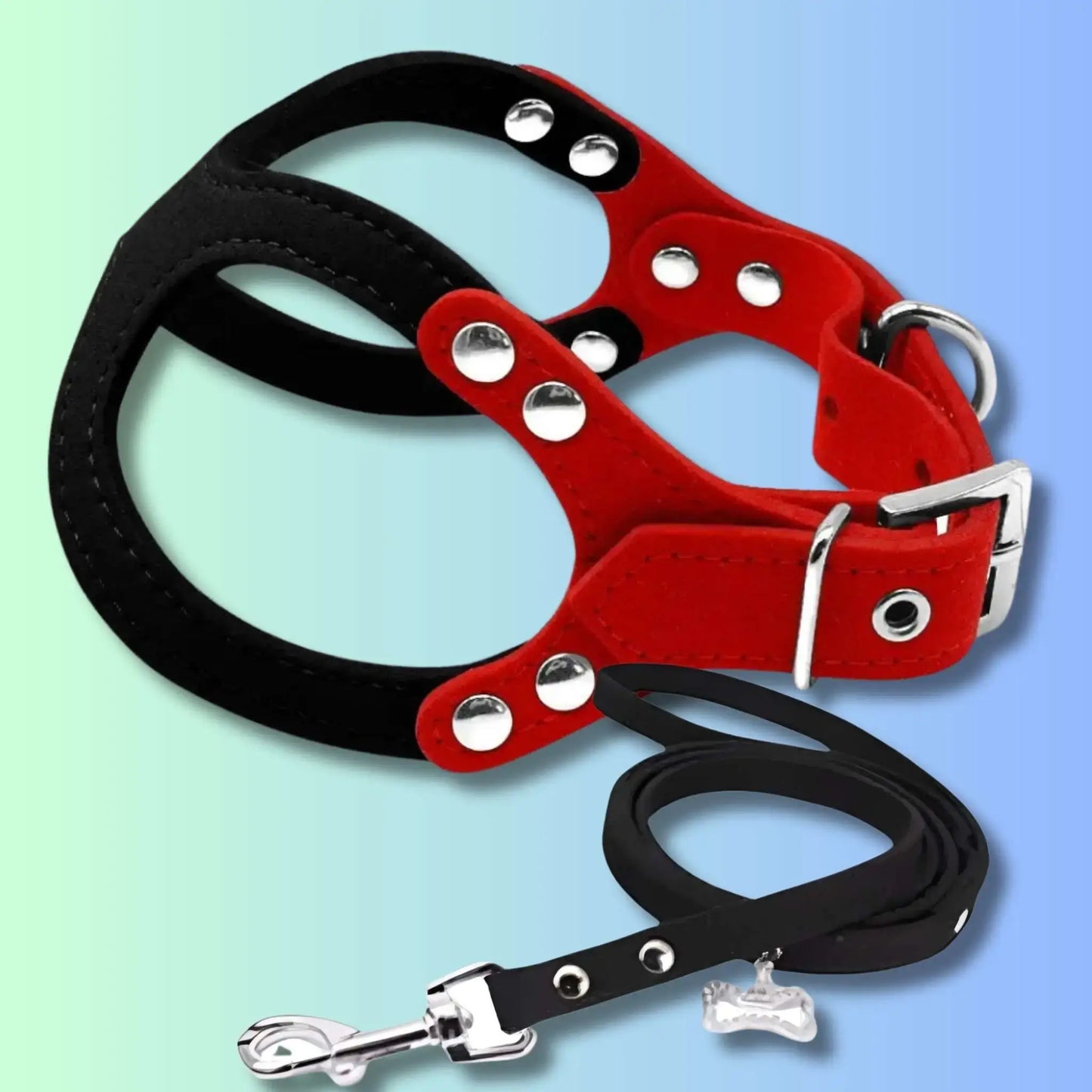 Un harnais ou un collier pour chiot avec laisse assortie noire.