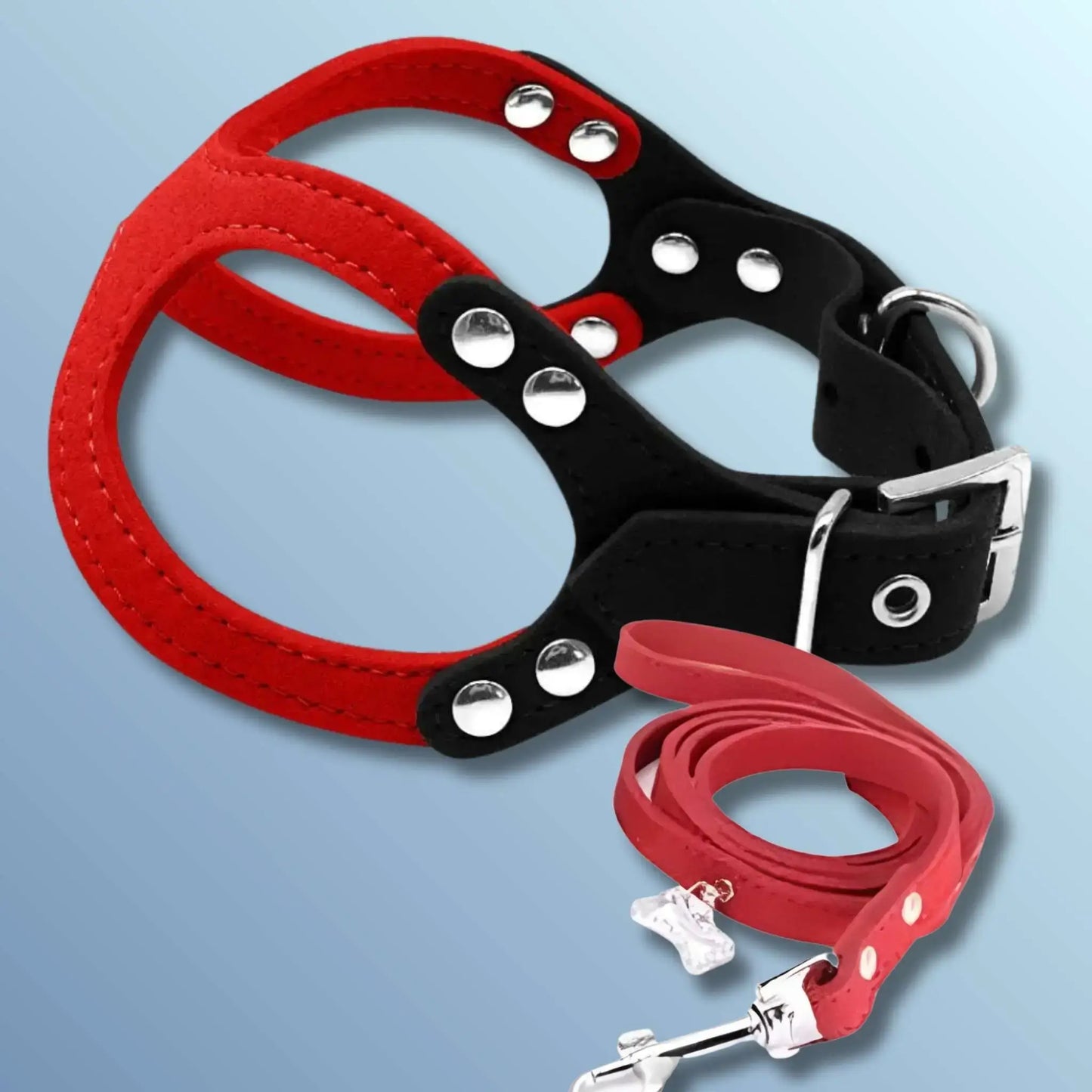 Un harnais ou un collier pour chiot avec laisse assortie rouge.