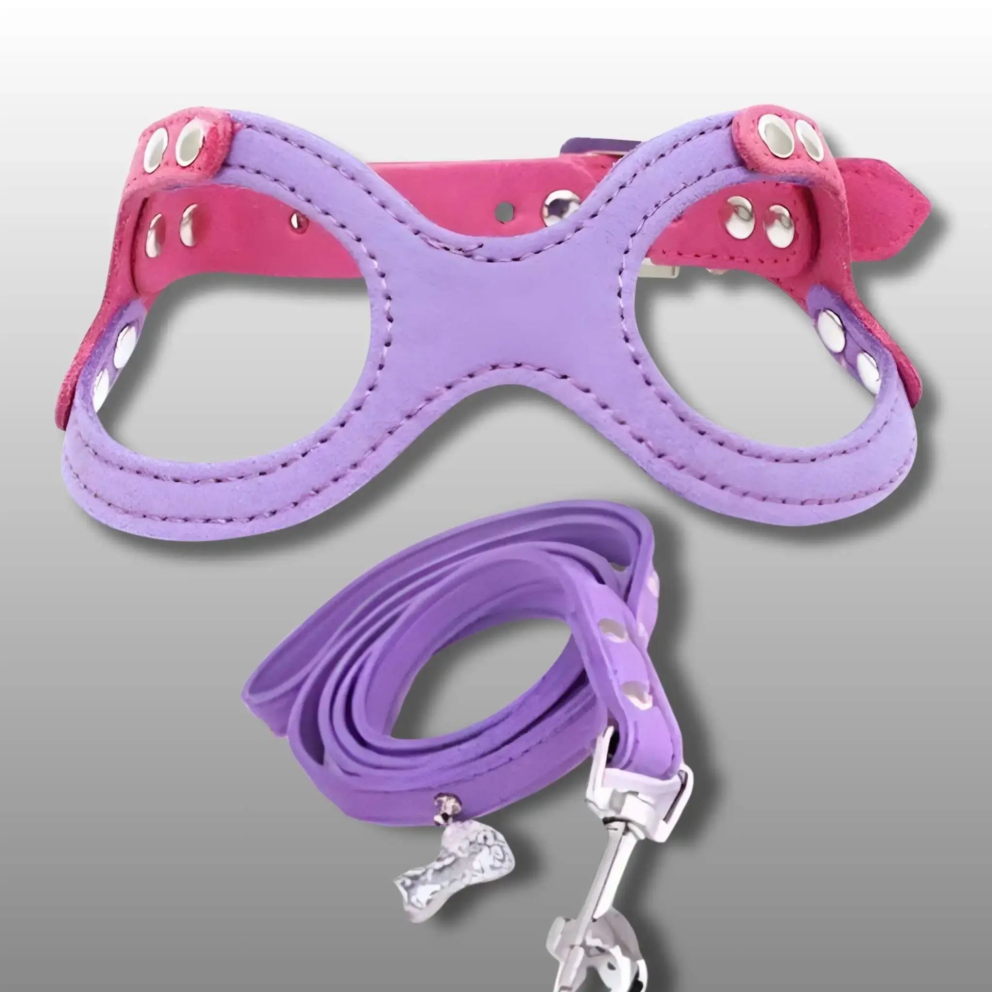 Un harnais ou un collier pour chiot avec laisse assortie violet.