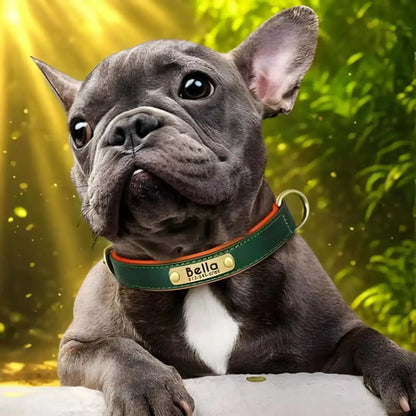 Un bouledogue français noir avec un collier personnalisable pour chien vert.