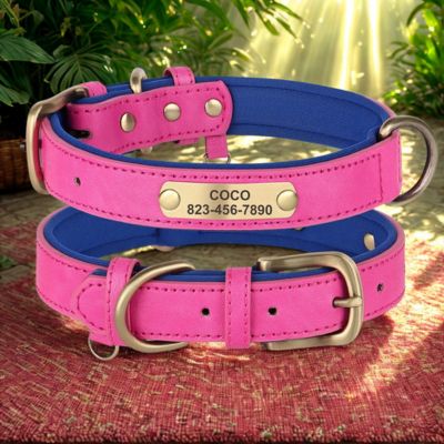 collier personnalisable pour chien cuir pu rose fonce bleu