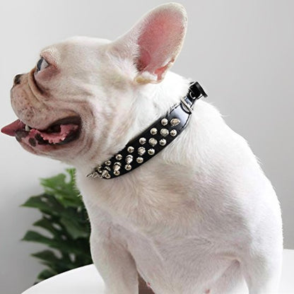 collier pour chien bouledogue francais blanc collier noir pointe