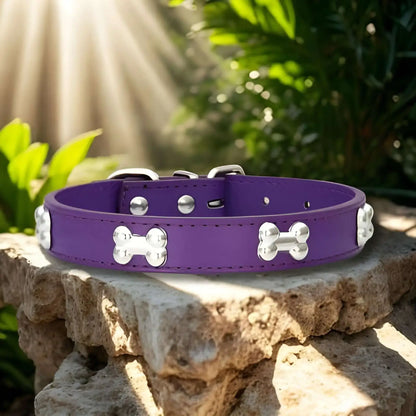 Collier pour chien en cuir PU ColliBone violet sur un rocher