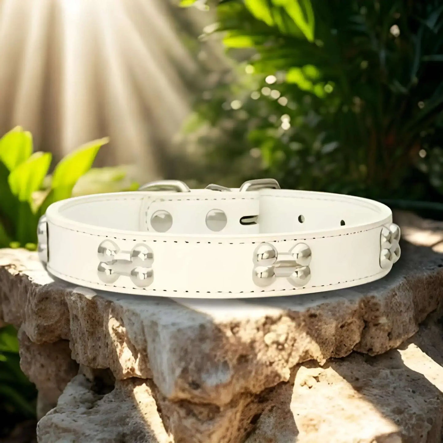 Collier pour chien en cuir PU ColliBone blanc sur un rocher