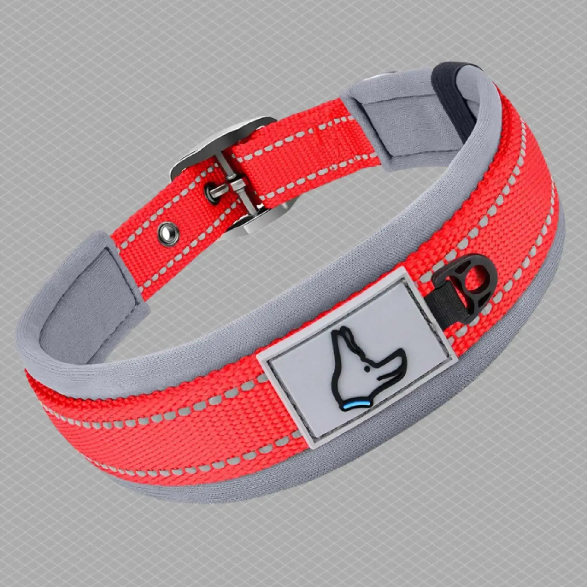 Un collier pour chien CollieRéflexion rouge.