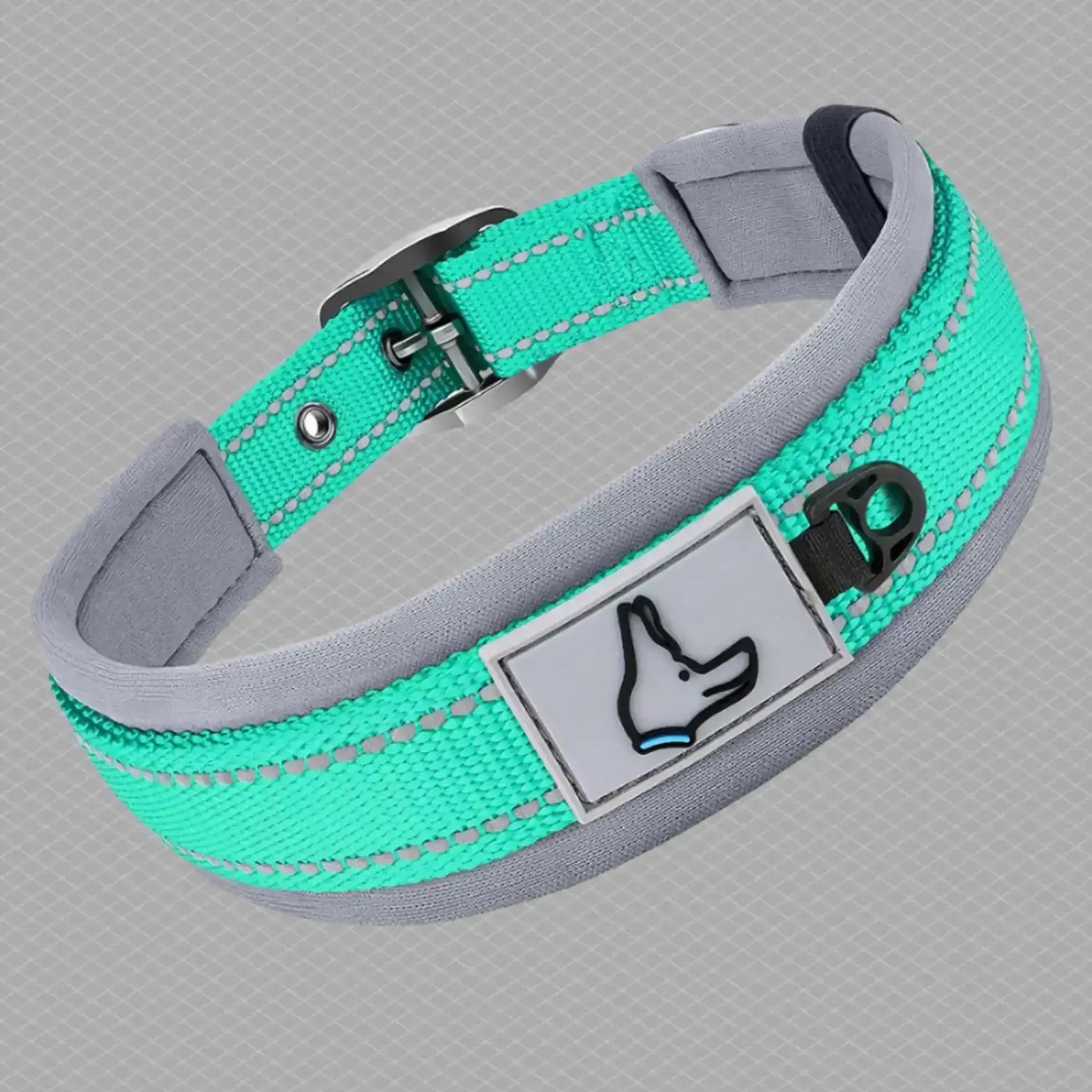 Un collier pour chien CollieRéflexion vert.