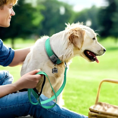 Un labrador blond avec son maitre et un collier pour chien vert.