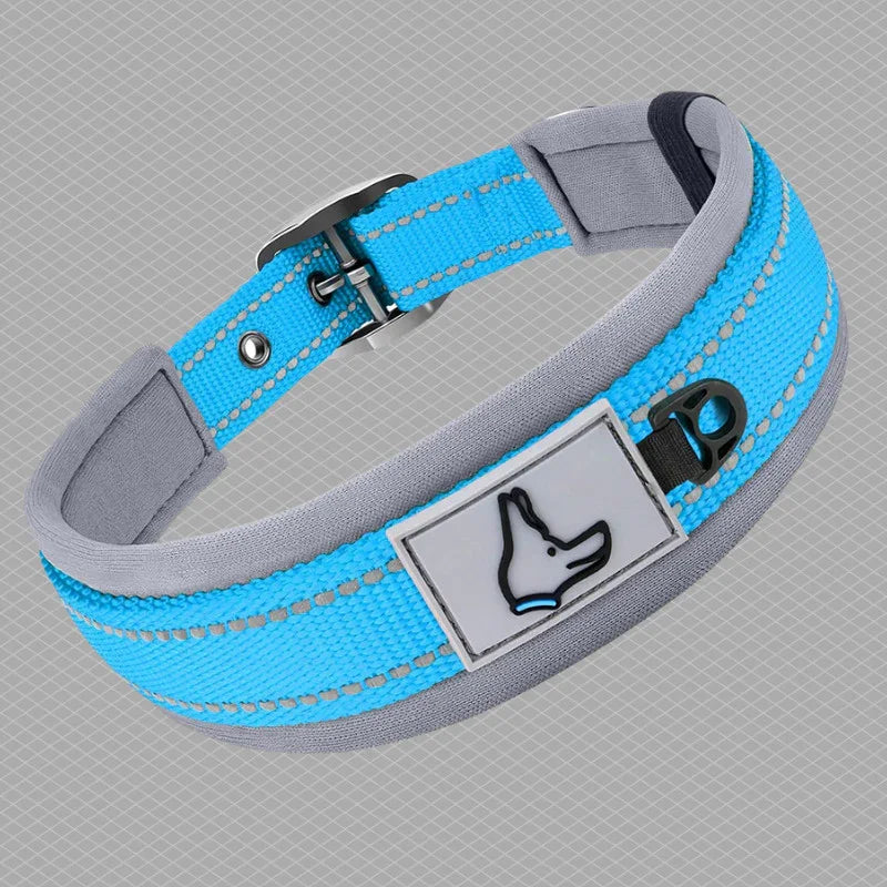 collier pour chien couleur bleu pale