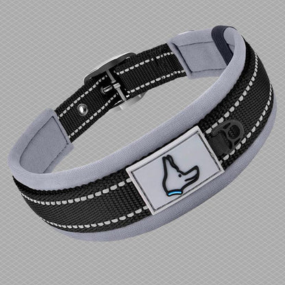 collier pour chien couleur noir