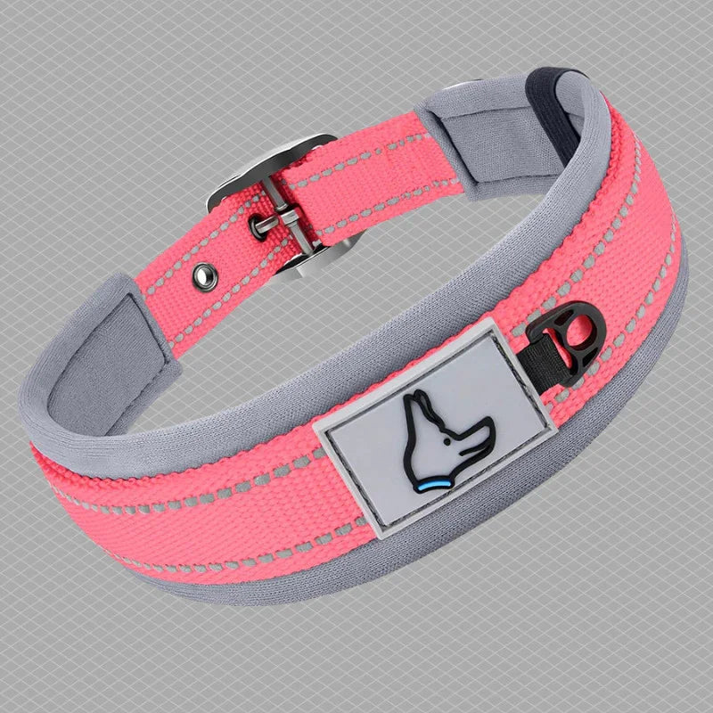 collier pour chien couleur saumon