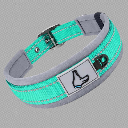 collier pour chien couleur vert