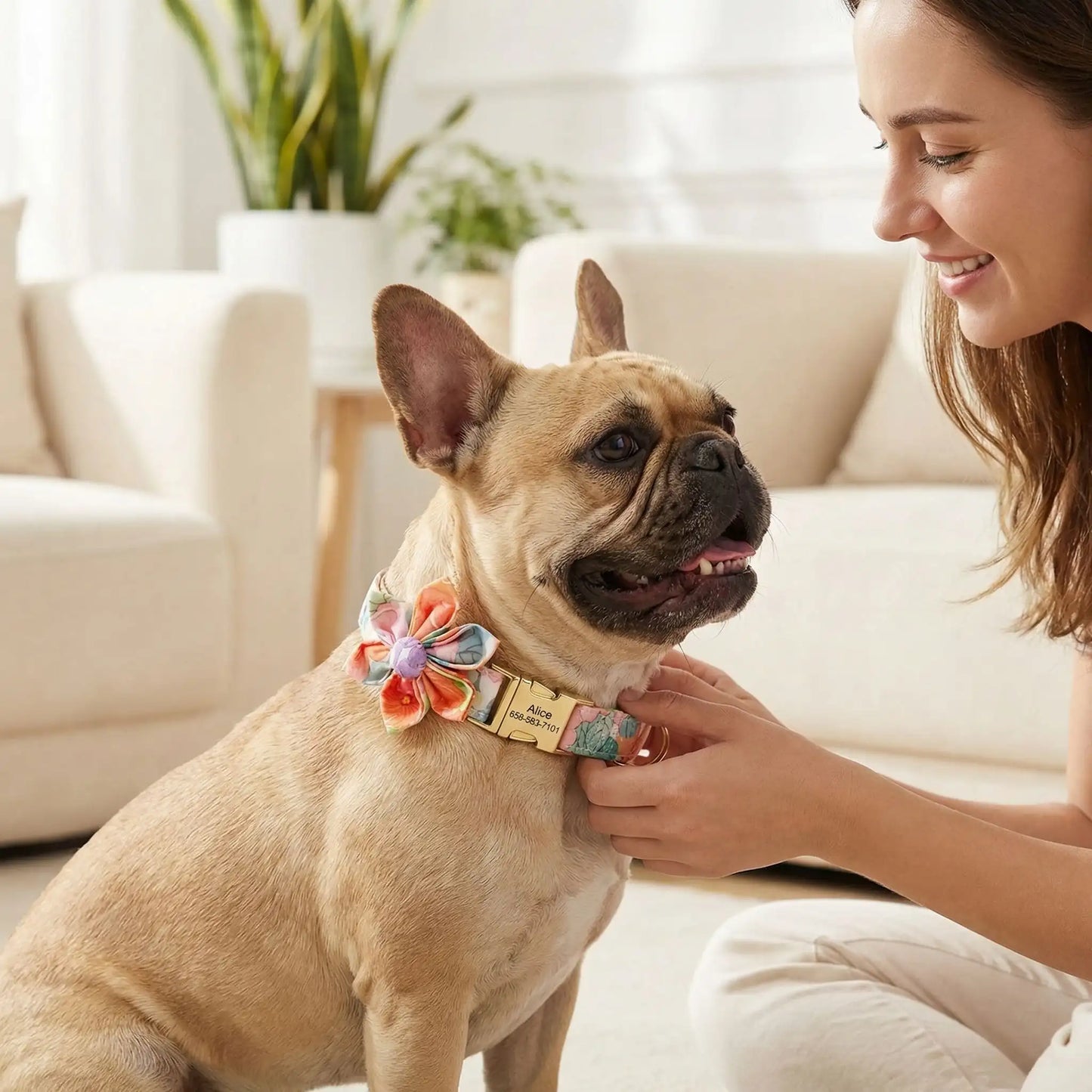 Une femme dans un salon met en place le collier pour chien de fantaisie orange à son bouledogue français.