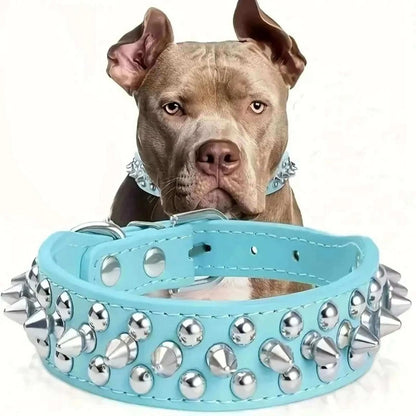 Un pittbull brun avec un collier pour chien bleu à pointes en avant de lui.