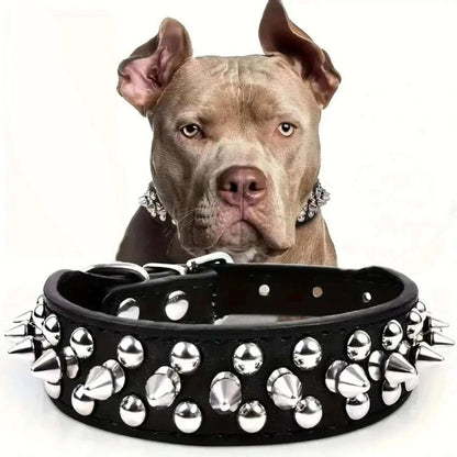 Un pittbull brun avec un collier pour chien noir à pointe en avant de lui.