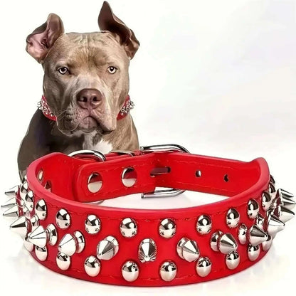 Un pittbull brun avec un collier pour chien rouge à pointes en avant de lui.