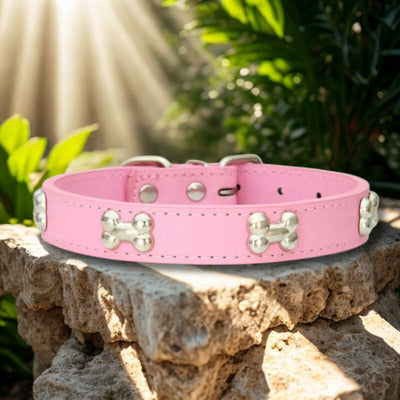 collier pour chien rose sur pierre ensoleille