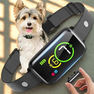 collier pour petit chien anti-aboiement petit chien dispositif