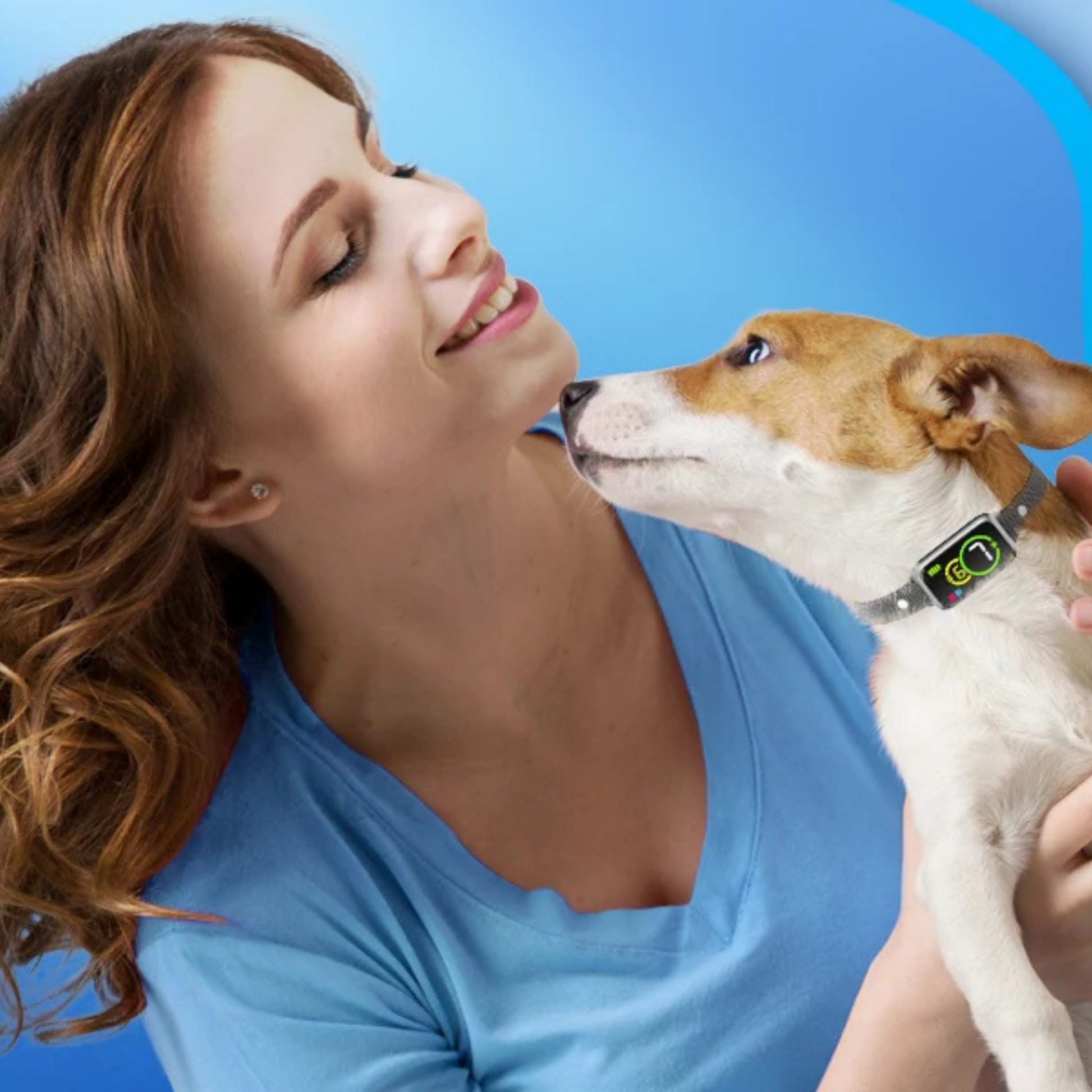 collier pour petit chien anti-aboiement-stopwoof-femme-jack rusell