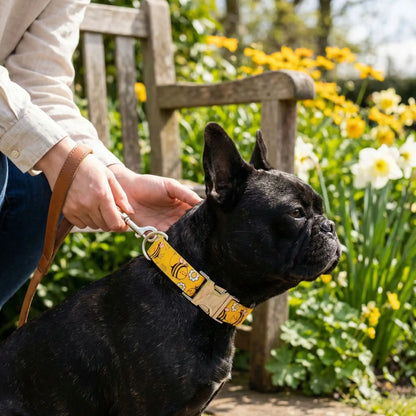 Une vue latérale d'un bouledogue français avec les colliers pour chien originaux jaunes avec un motif d'abeille.