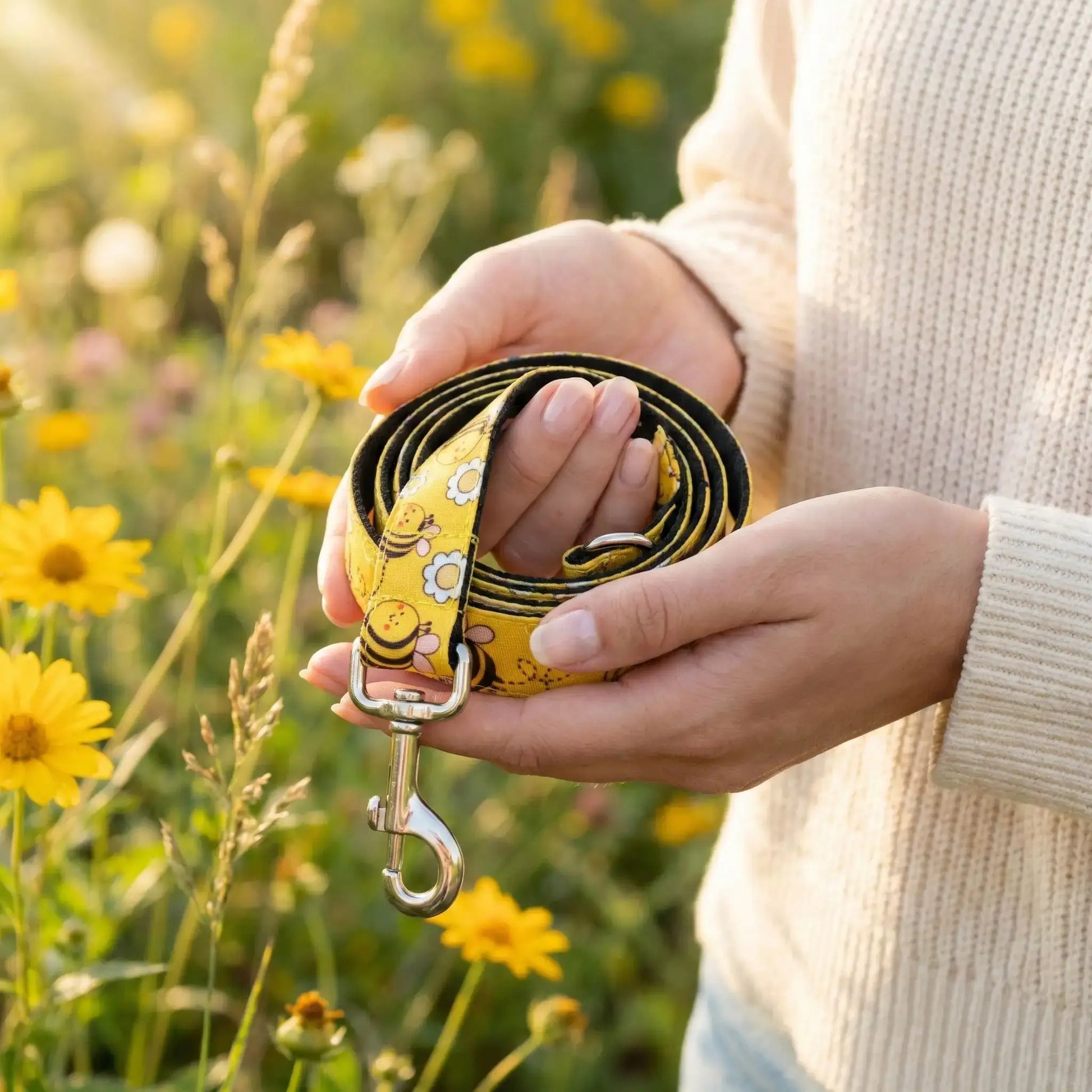 Une femme tient la laisse assortie des colliers pour chiens originaux ColliAbi.