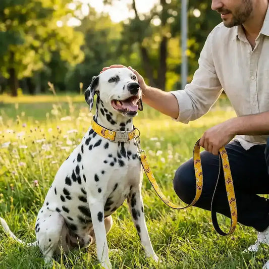 Un homme avec son dalmatien assis en laisse sur une pelouse porte les colliers pour chien originaux jaunes motif abeille.