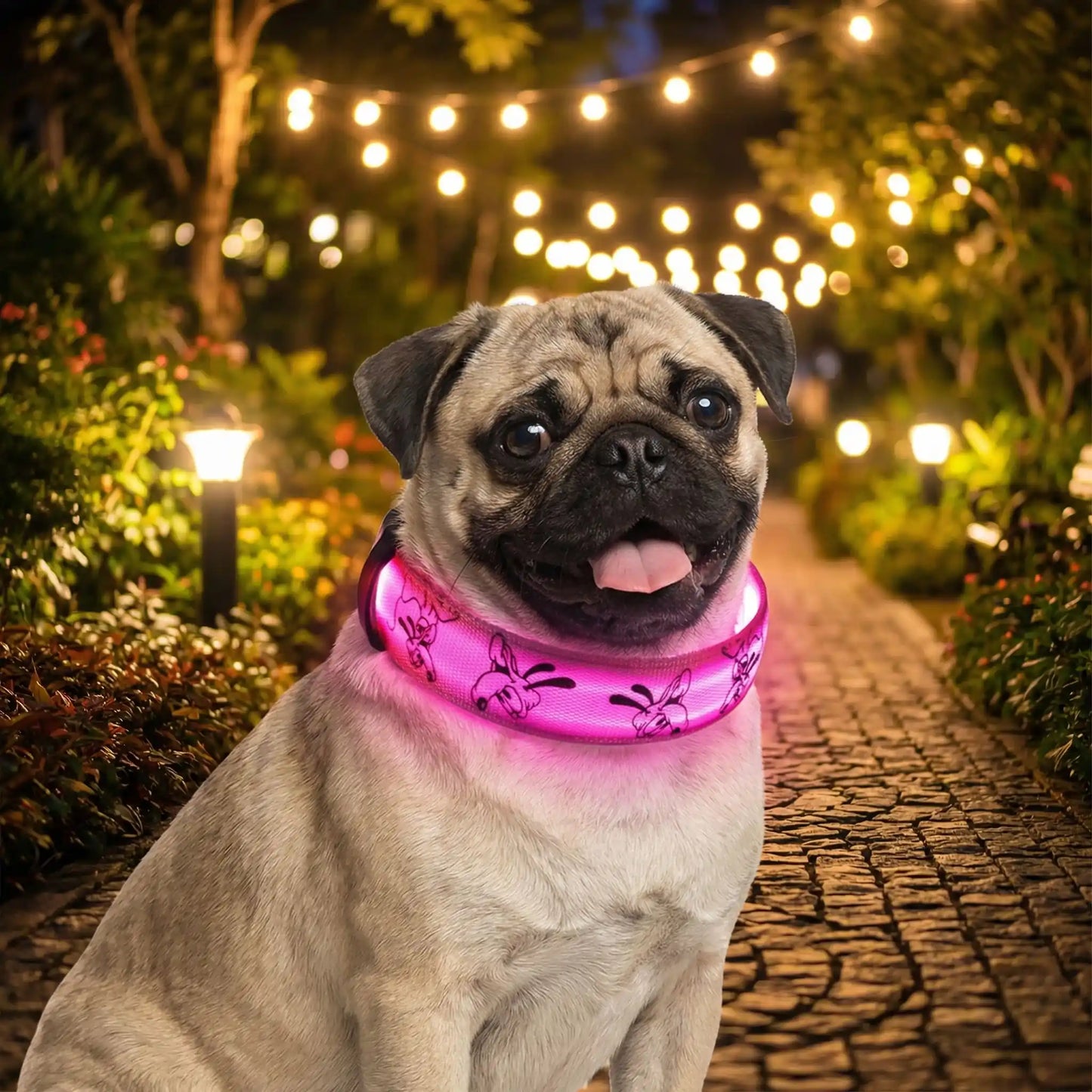 Un carlin dans un jardin la nuit, portant les colliers lumineux pour chiens roses.