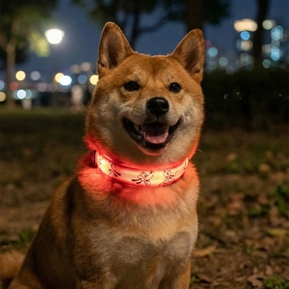 Un shiba inu porte les colliers lumineux pour chiens Éclapet rouge la nuit.