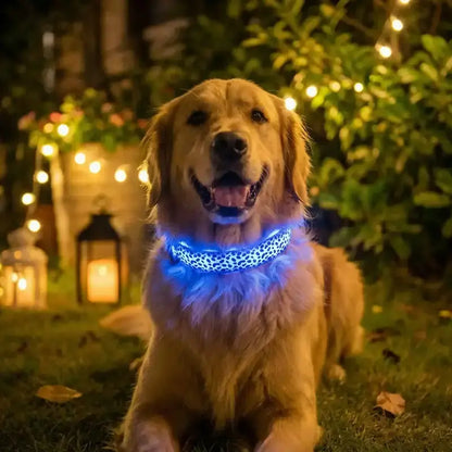 Un golden retriever allongé au sol dans un jardin la nuit porte les colliers lumineux pour chiens bleu.