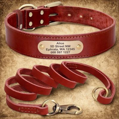 colliers pour chiens personnalises collier et laisse assortie couleur marron
