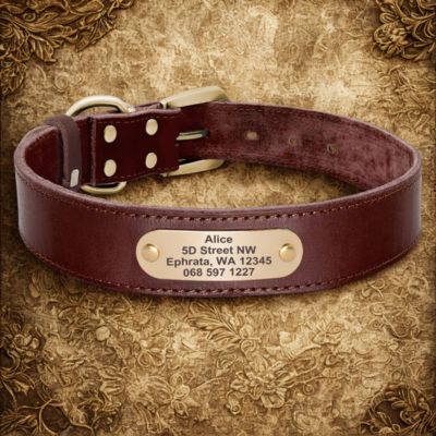 colliers pour chiens personnalises couleur brun