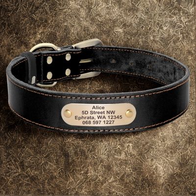 colliers pour chiens personnalises couleur noir