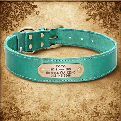 colliers pour chiens personnalises couleur vert
