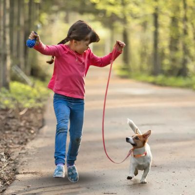 colliers pour chiens-personnalises fillette avec petit chien en laisse