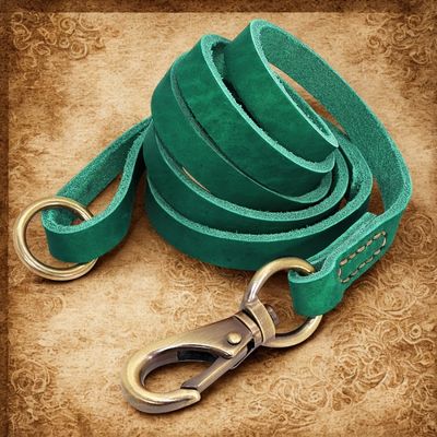 colliers pour chiens personnalises laisse assortie vert