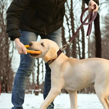 Un homme joue avec un labrador blond à l'extérieur en hiver avec les colliers pour chiens personnalisés et la laisse assortie