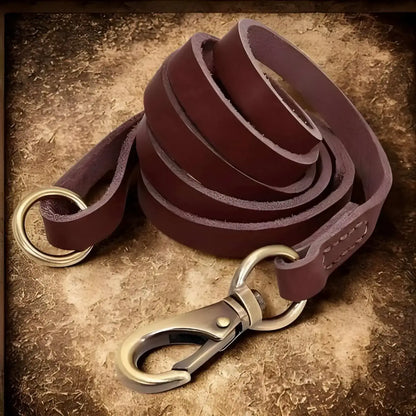 Une laisse assortie avec les colliers pour chiens personnalisés marron.