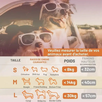 Illustration de quelle taille de chien convient le coussin pour chien de voiture.