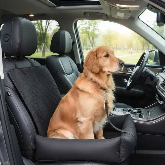 Vue latérale d'un golden retriever assis sur son coussin pour chien de voiture noir.