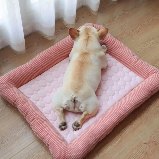 Un bouledogue français vu de dos est allongé sur un coussin rafraichissant pour chien rose.