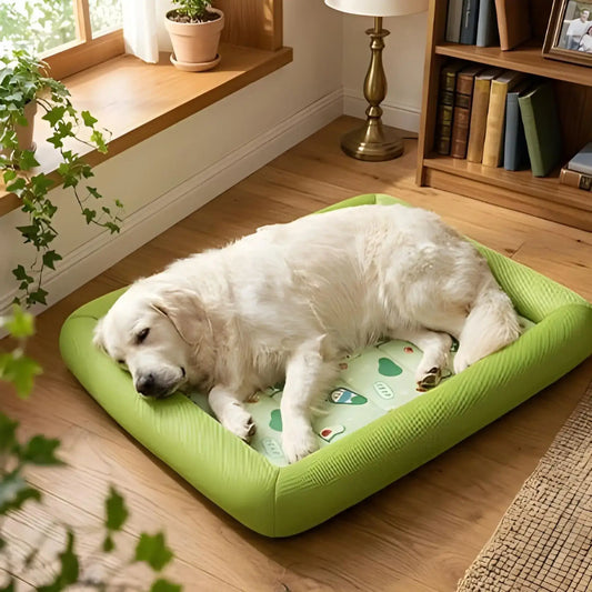 Un golden retriever dans un salon est allongé sur un coussin rafraichissant pour chien vert.