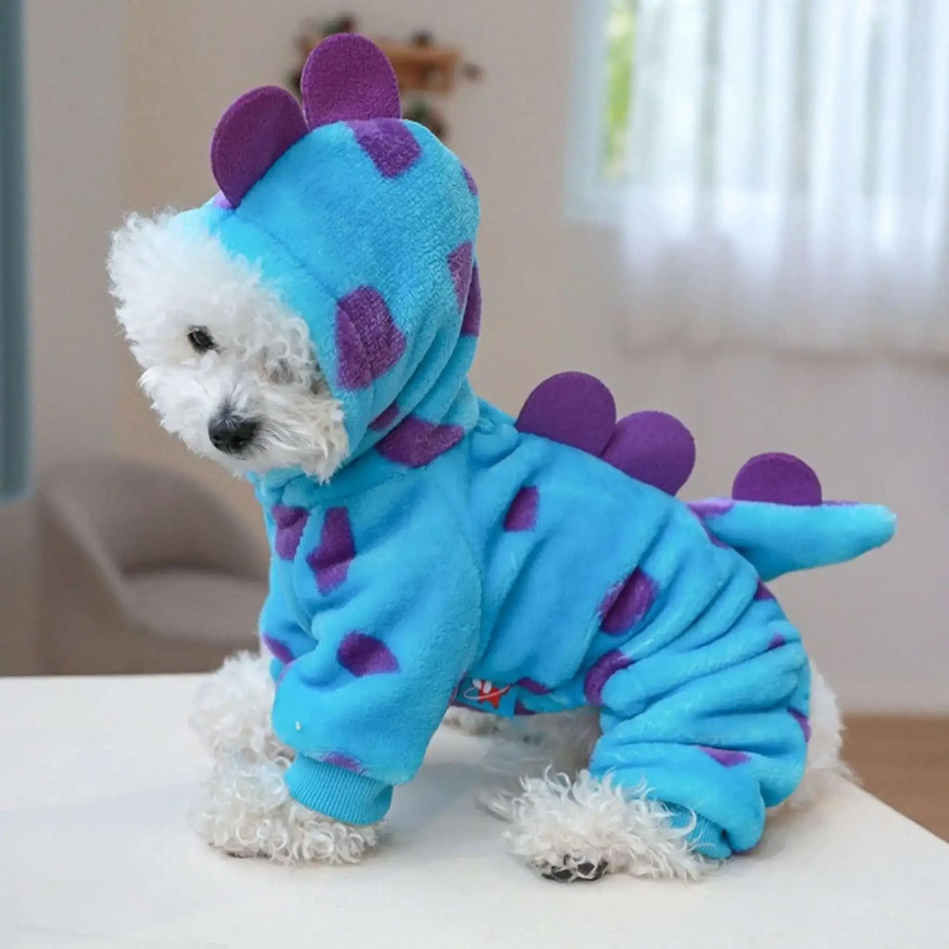 Un bichon frisé sur une table avec son déguisement pour chien design dragon bleu avec un capuchon.