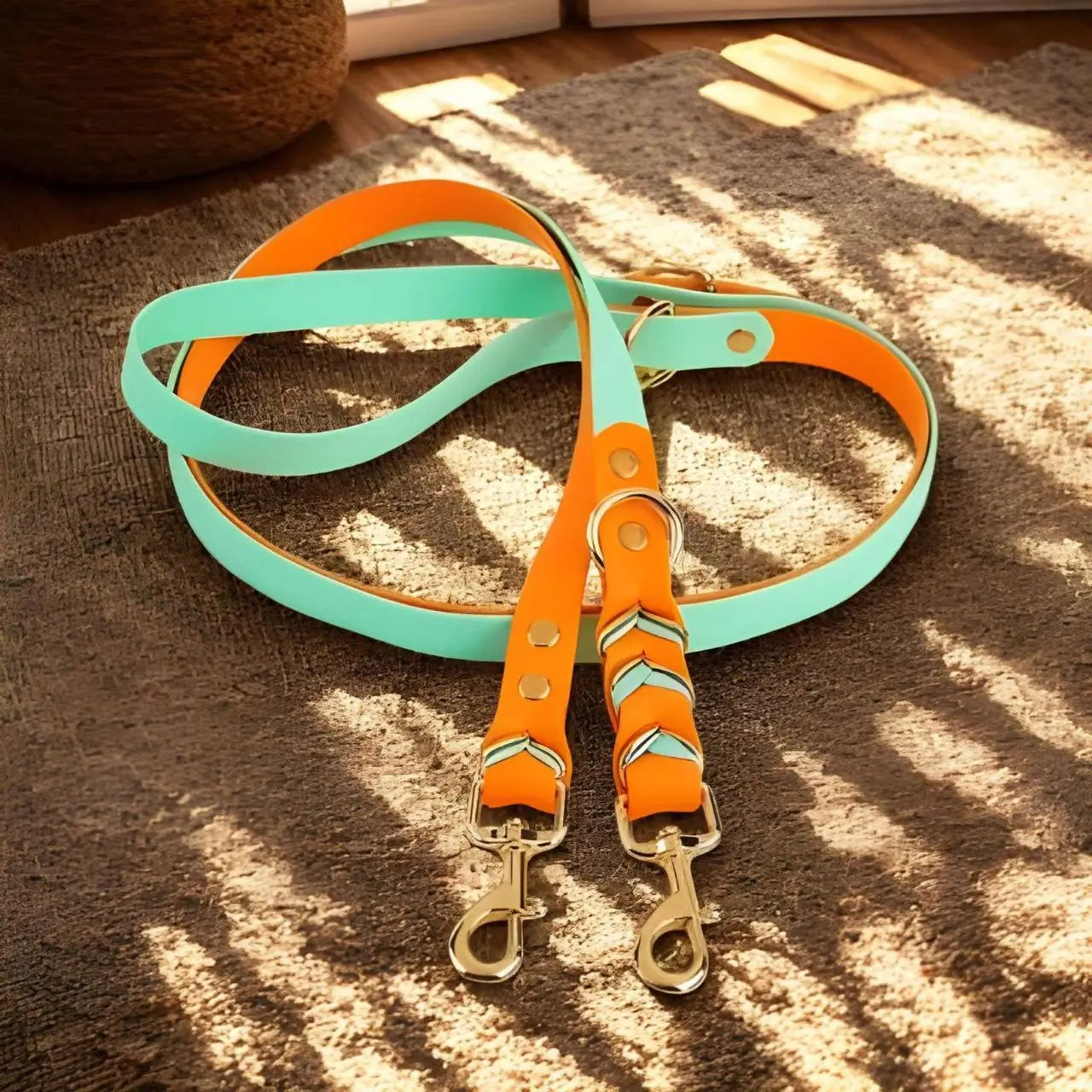 Une double laisse pour chien de couleur turquoise et orange.