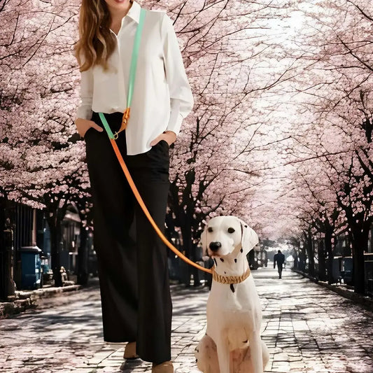 Une femme avec son dalmatien sur un trottoir bordé de rosiers avec une double laisse pour chien.